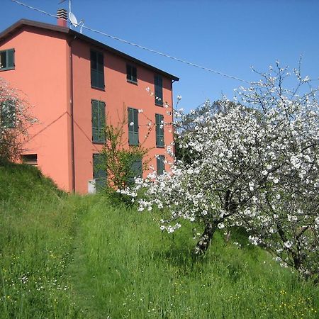 Agriturismo Casalino ベヴェリーノ エクステリア 写真