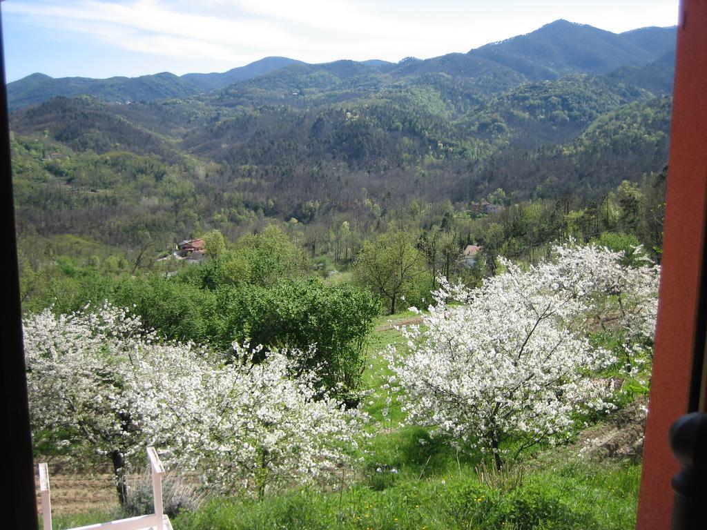 Agriturismo Casalino ベヴェリーノ エクステリア 写真