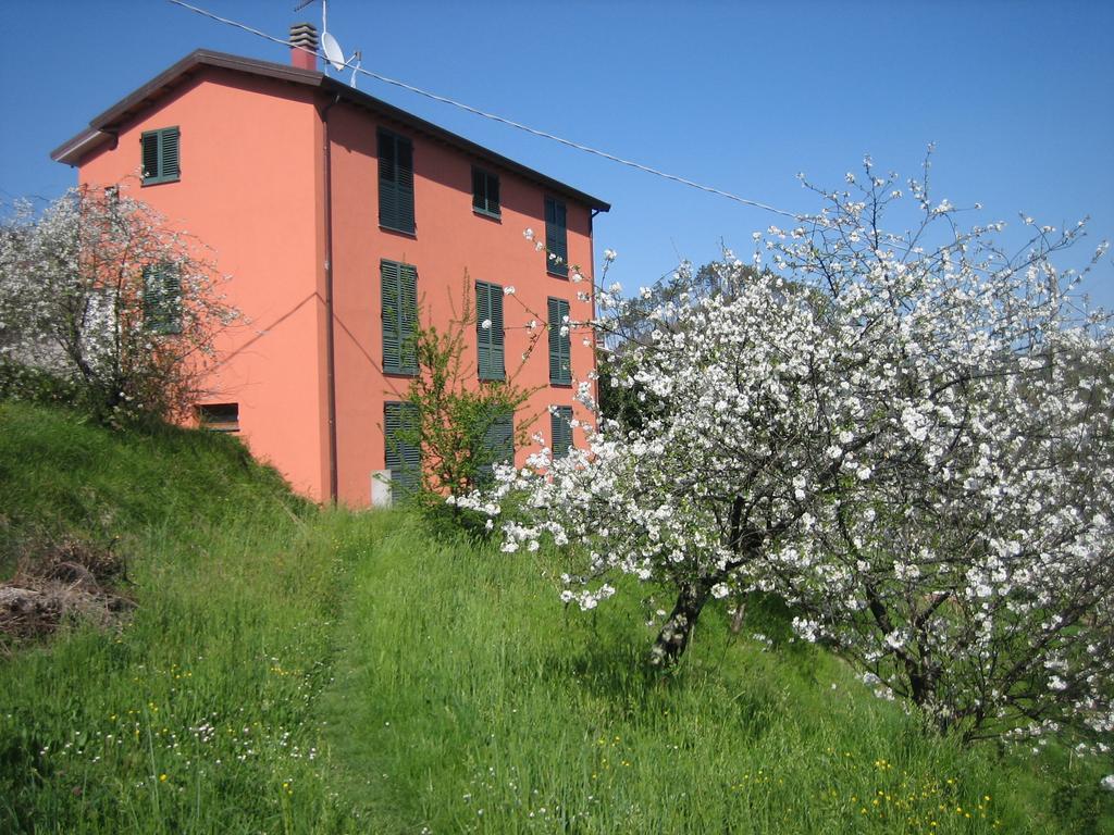 Agriturismo Casalino ベヴェリーノ エクステリア 写真